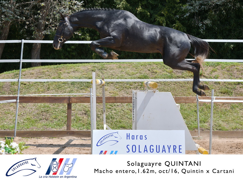SOLAGUAYRE QUINTANI